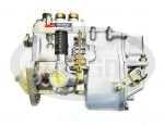 COMPLETE FUEL INJECTION PUMPS Injection set PP3A8K315g-2442 (9902442, 4901-0861)