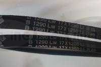 V-belt 17x1250 LW (S96.6313, Z25284.75)
Click to display image detail.
