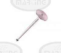 Exhaust valve  Z50 (S105.0409)
Click to display image detail.
