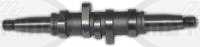 Camshaft (754-961203)
Click to display image detail.