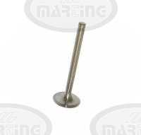 Exhaust valve Turbo (5202-0507, 79010554)
Click to display image detail.