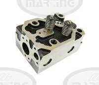 Cylinder head 102mm - 3/4V with valves IMPORT (universal) (71010501, 49010554, 69010551)
Click to display image detail.