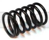 Outer valve spring (78005018)
Click to display image detail.