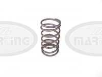 Outer valve spring Z50
Click to display image detail.